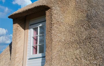 Steeraway thatch roof disadvantages